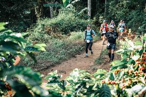 BIB: 
                            <button type="button" onclick="openModal(25850842)" class="btn btn-primary btn-sm float-right btn-popup" data-toggle="modal" data-target=".modal-high-quality">
                        <i class="fas fa-shopping-cart"></i> Add to Cart
                    </button>
                                            <button type="button" onclick="isThisMe(25850842, true)" class="btn btn-success btn-sm float-right btn-popup btn-isme hidden" data-toggle="tooltip" data-placement="bottom" title="นี่คือรูปของคุณใช่ไหม คลิกที่นี่เพื่อเอาเข้าอัลบั้ม">
                        <i class="fas fa-plus"></i> Add to album
                    </button>
                    <button type="button" onclick="isThisMe(25850842, false)" class="btn btn-warning btn-sm float-right btn-popup btn-isnotme hidden">
                        <i class="fas fa-ban"></i> Remove from album
                    </button>